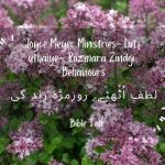 Joyce Meyer Ministries- Lutf uthaiye- Rozmara Zindgi: Behaviours