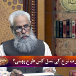 Qassas-ul-Anbiya: Hazrat Nooh ki Nas’l kis tarha pheli?