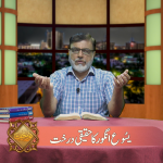 یسوع، انگور کا حقیقی درخت