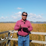 تو کہاں ہے؟