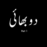 دو بھائی پارٹ 1