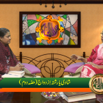 شادی یا رشتہ ازدواج (پارٹ 2)