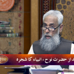 قصص الانبیاء: بعد از حضرت نوح، انبیاٗ کا شجرہ