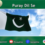 یوم آزادی اسپیشل