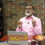 شاگردوں کا چیناؤ