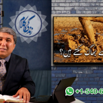 حقیقی سلامتی