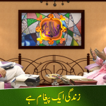 زندگی ایک پیغام ہے