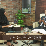 لفظوں کے خادم یا روح کے خادم