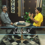 کثرت کی زندگی